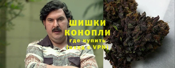 шишки Армянск