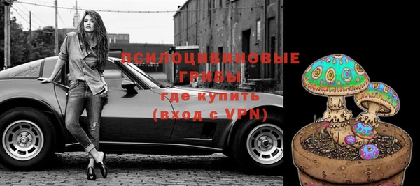 МДПВ Алзамай