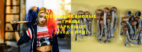 МДПВ Алзамай
